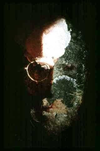 Selfportrait-metamorphoto by Anthony Weir